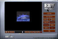 EZV Video Capture screenshot